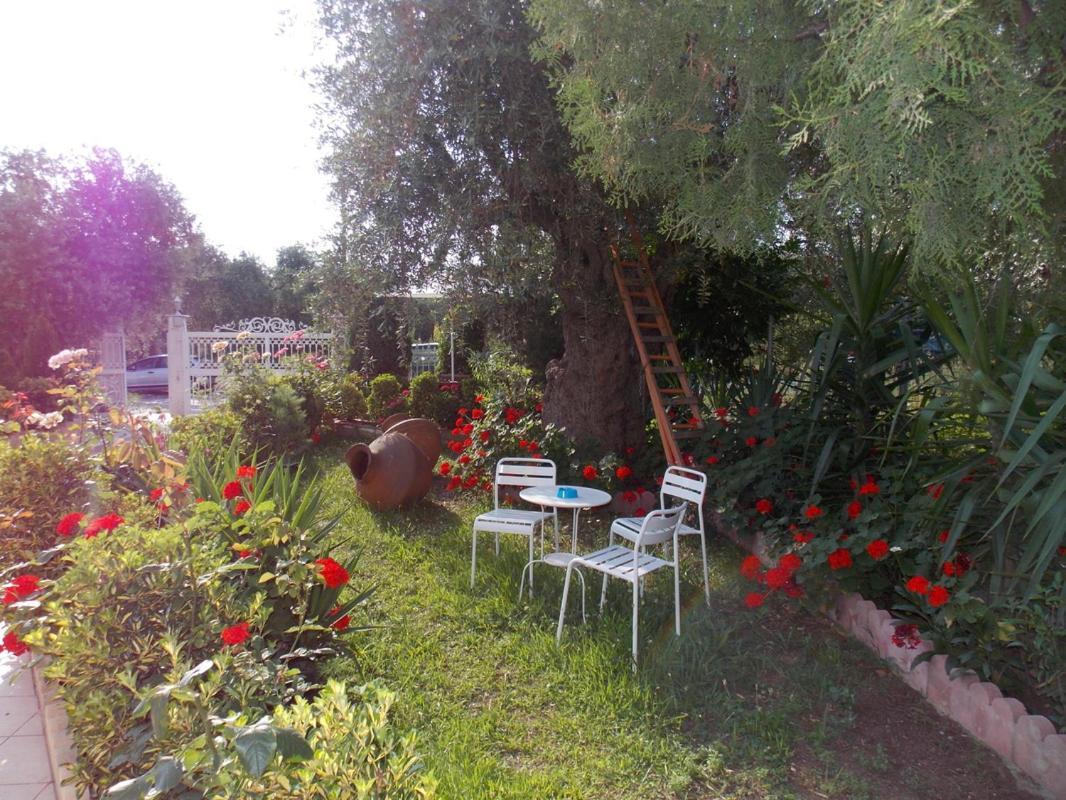Ioli Apartments Limenas  Buitenkant foto